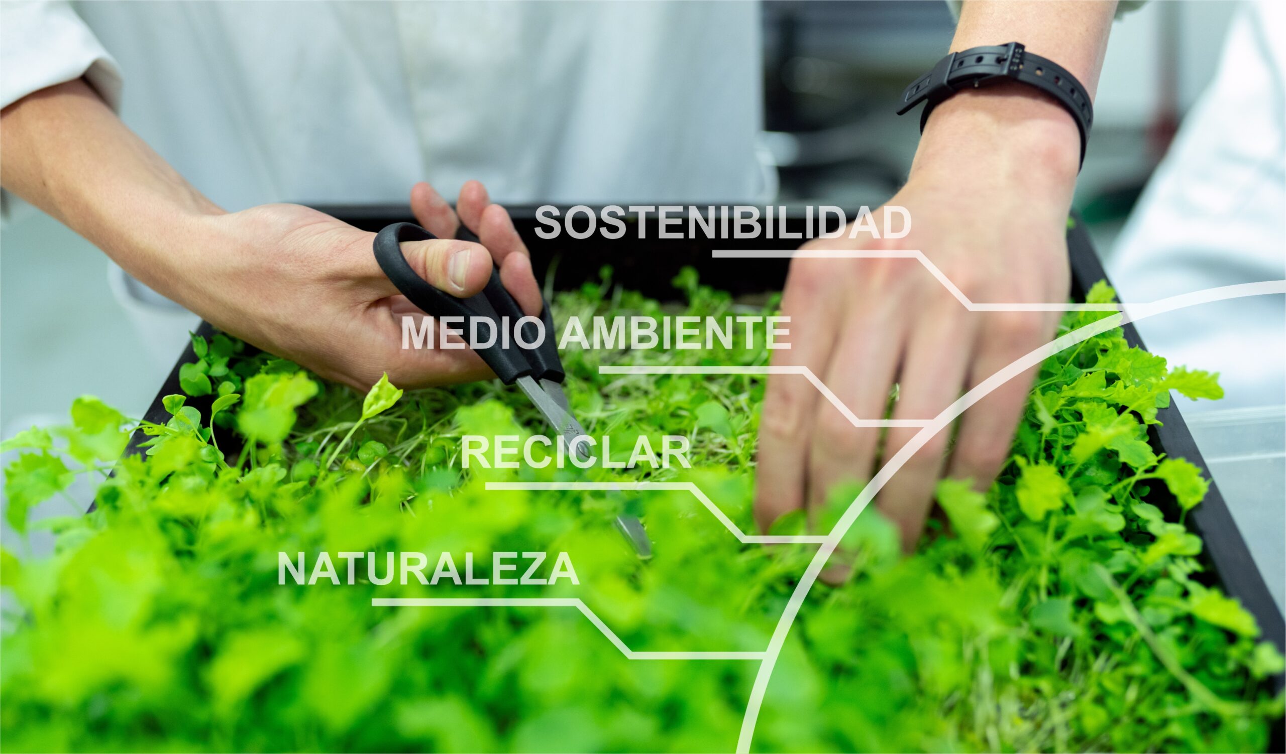 SOSTENIBILIDAD GLOBAL DE LA CADENA ALIMENTARIA – INAD048PO